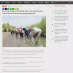 Semangat Jaga Kelestarian Alam, Synergy Creator Squad Tanam Ribuan Mangrove di Pesisir