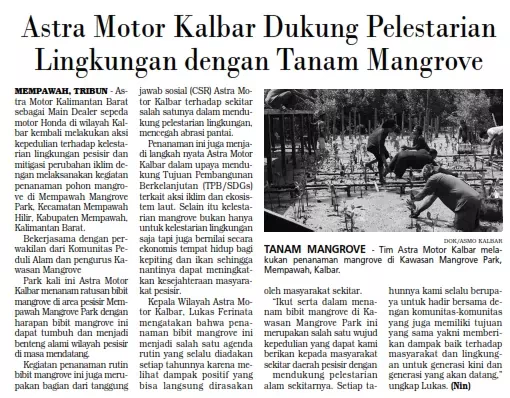 Astra Motor Kalbar Dukung Pelestarian Lingkungan dengan Tanam Mangrove