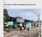 Astra Motor Kalbar Berbagi Hewan Kurban