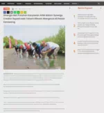 Sinergis dari Puluhan Karyawan AHM dalam Synergy Creator Squad saat Tanam Ribuan Mangrove di Pesisir Karawang