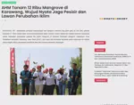 AHM Tanam 12 Ribu Mangrove di Karawang, Wujud Nyata Jaga Pesisir dan Lawan Perubahan Iklim